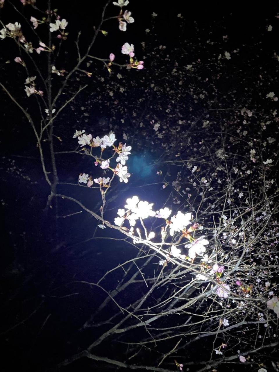 Kinugawa Keisui Hotell Nikko Exteriör bild