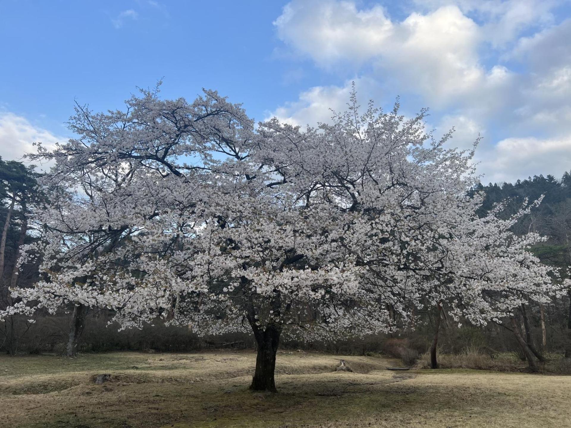 Kinugawa Keisui Hotell Nikko Exteriör bild
