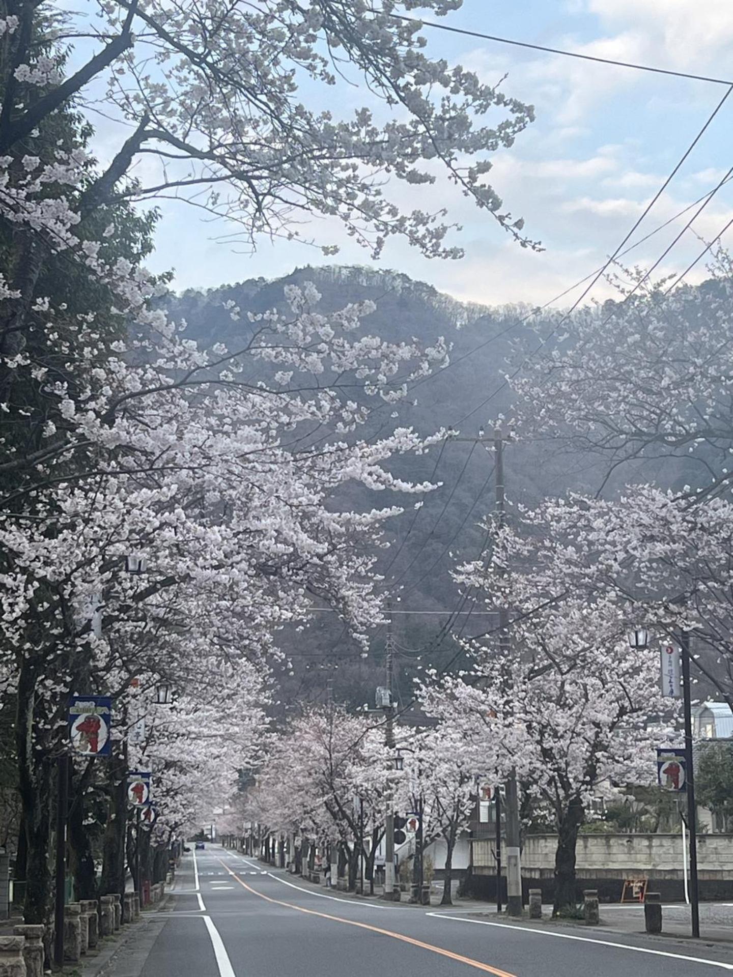 Kinugawa Keisui Hotell Nikko Exteriör bild