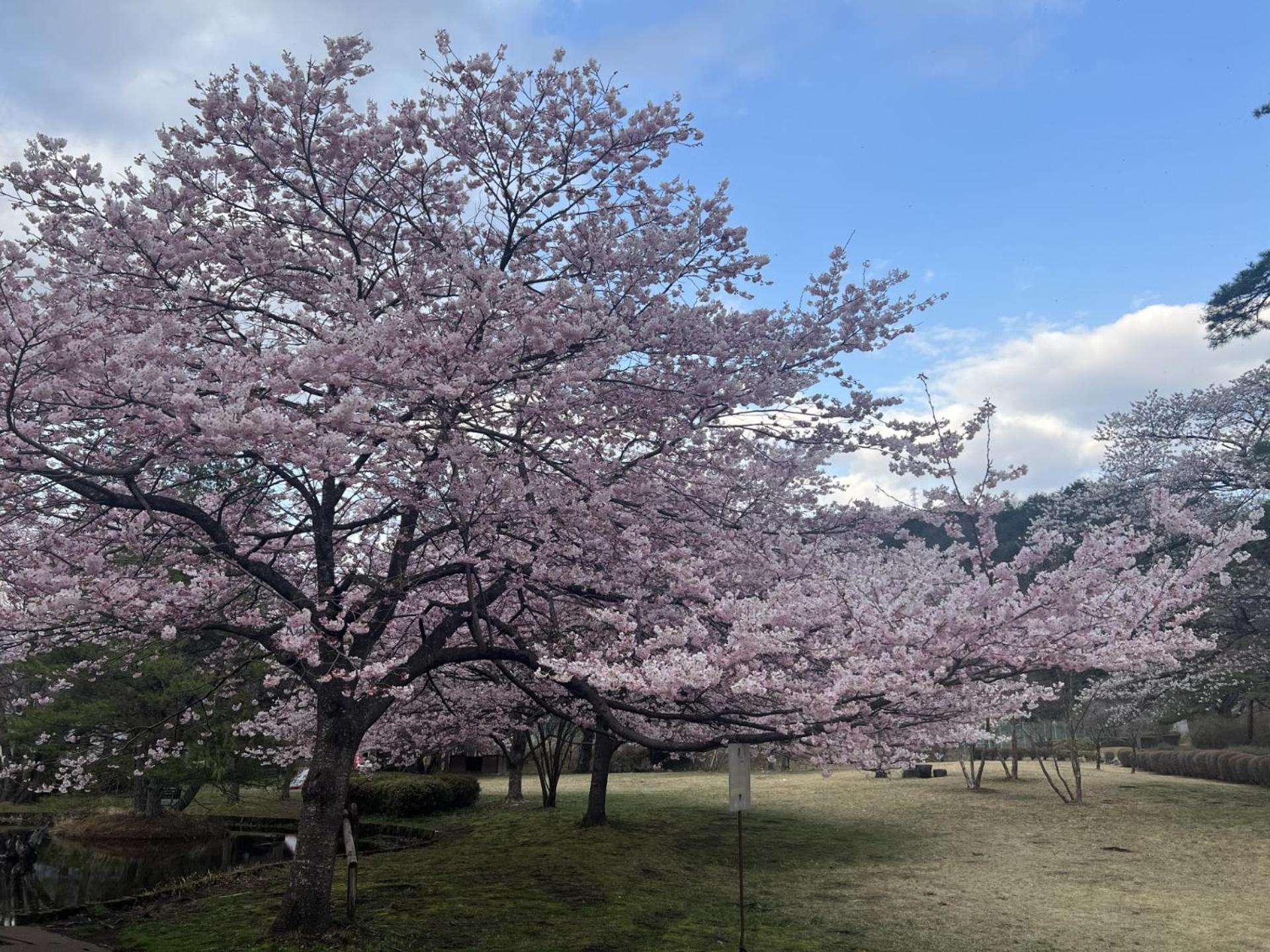 Kinugawa Keisui Hotell Nikko Exteriör bild