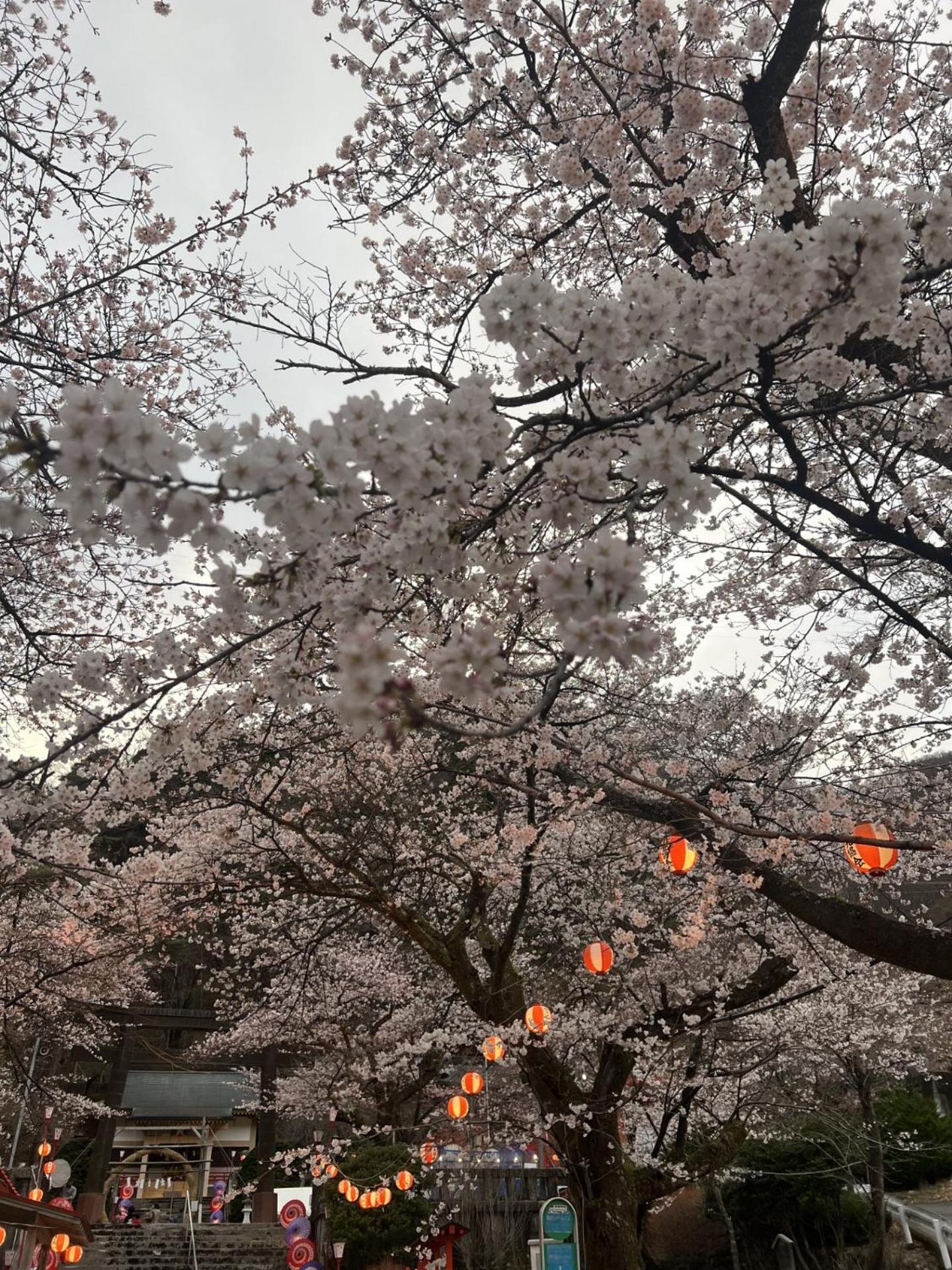 Kinugawa Keisui Hotell Nikko Exteriör bild